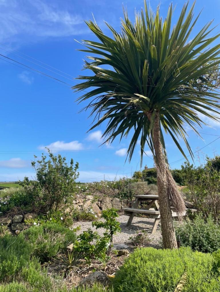 Trengothal Barn Apartamento Porthcurno Exterior foto
